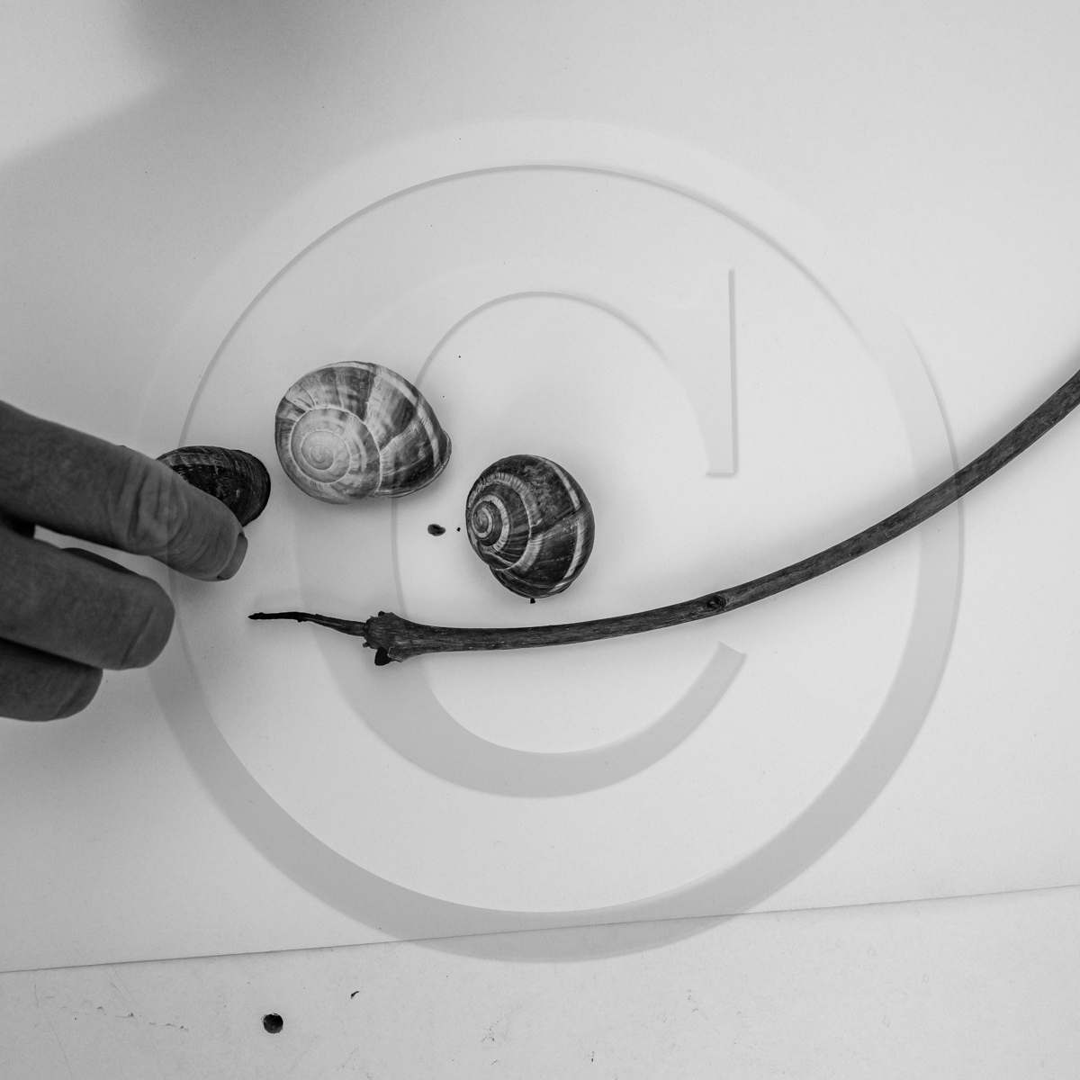 12 octobre 2022 : Land Art à l'Ouort