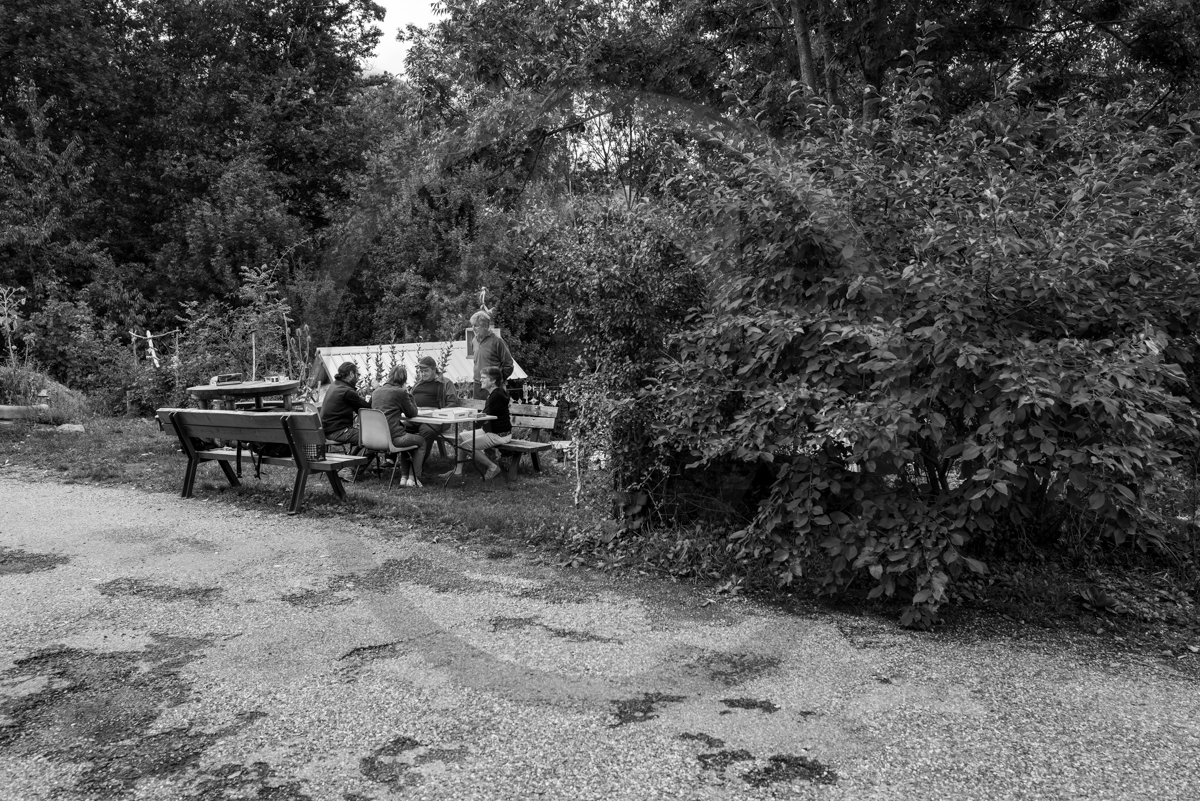 14 septembre 2022 : jeux, laine et promenade