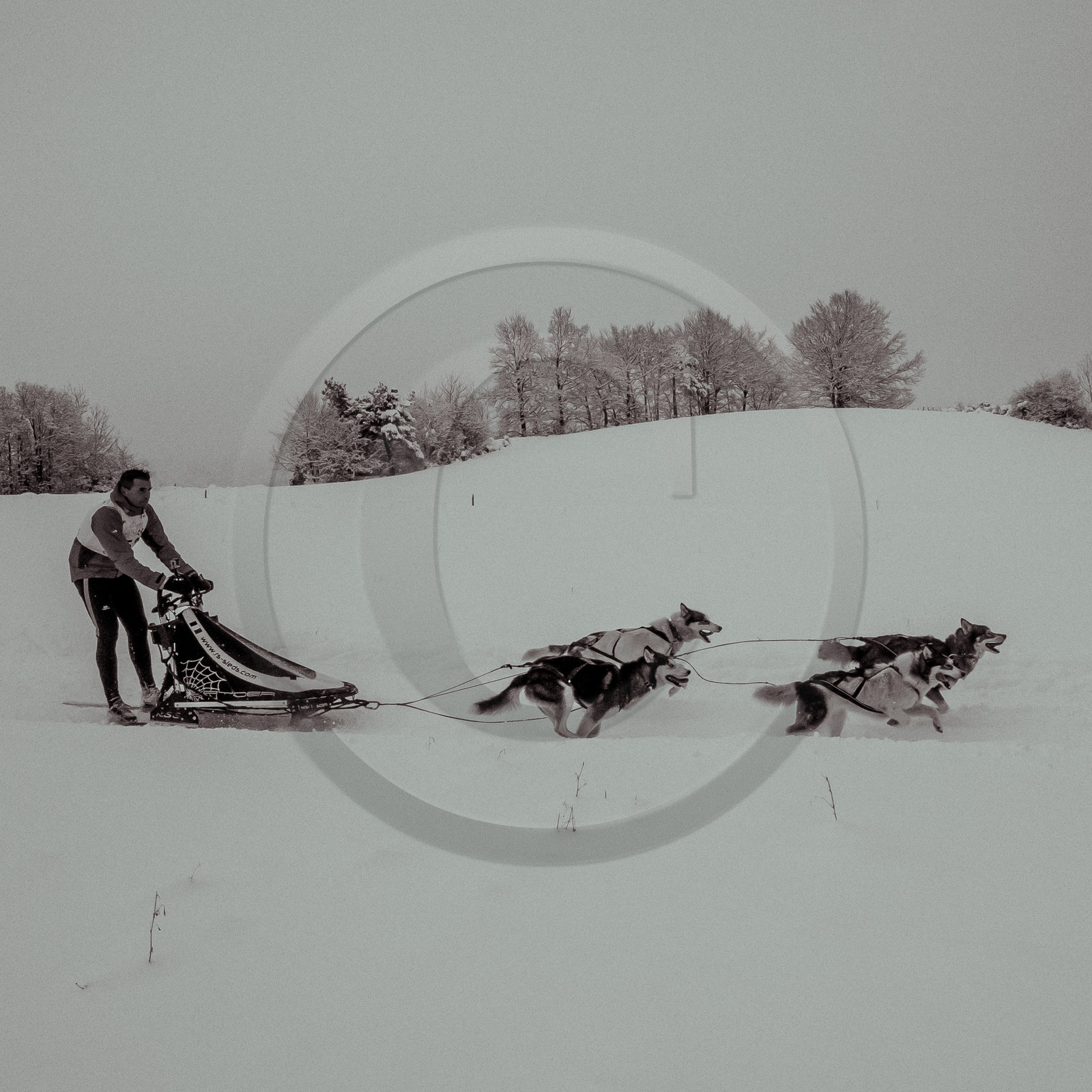 La Valgaude Traineau 2015