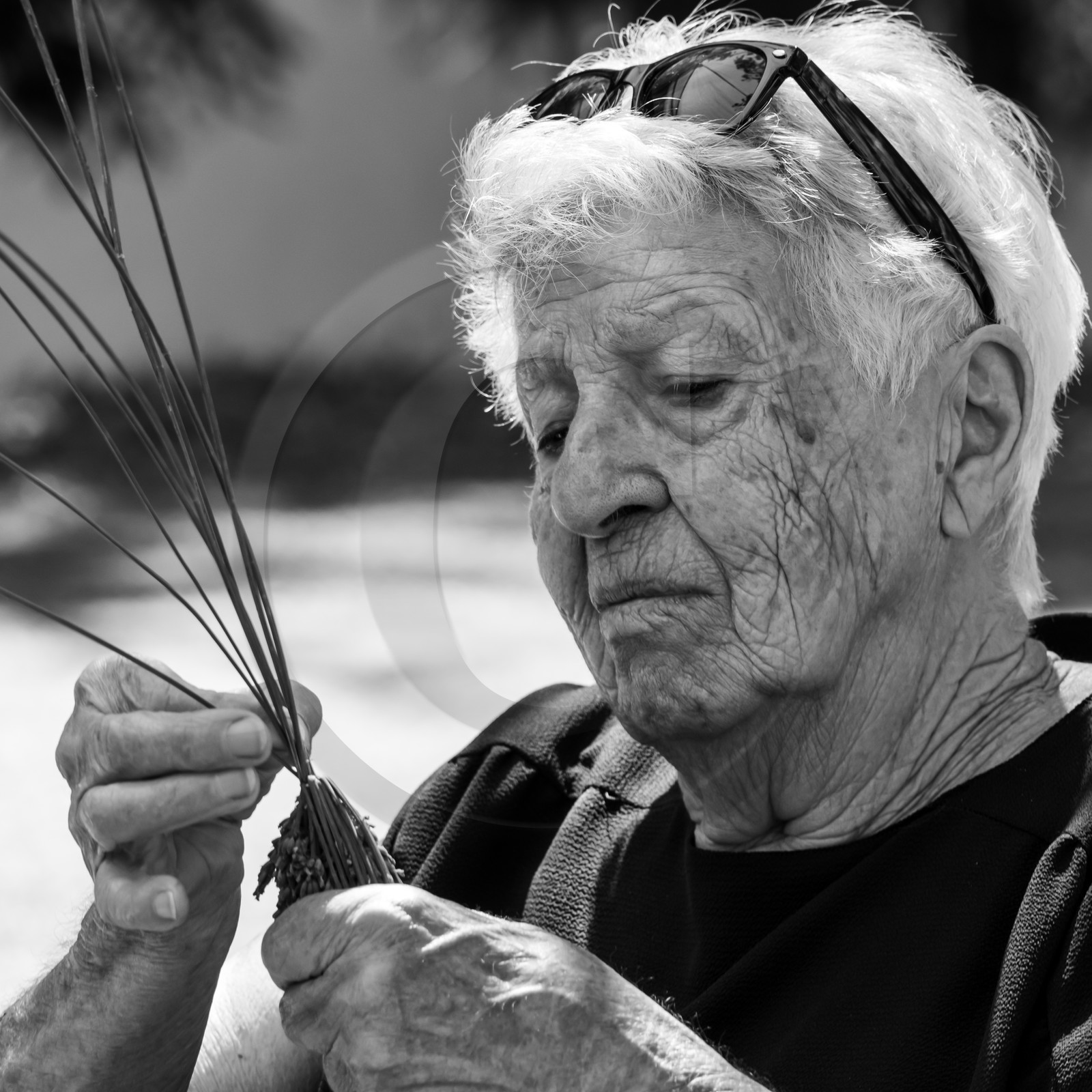 Atelier Fuseaux de lavande