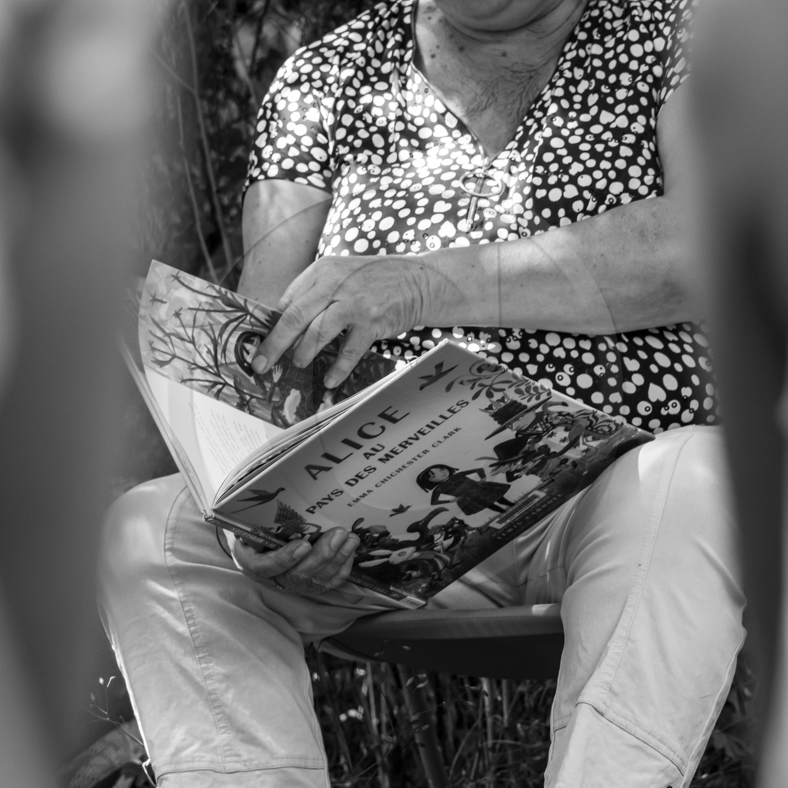 Contes Alice au pays des merveilles