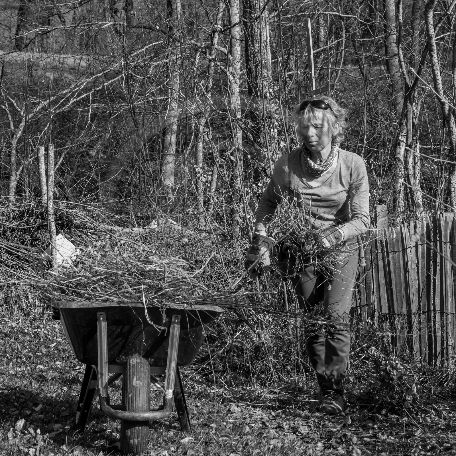 24 février 2021 : on taille, on prépare le jardin...