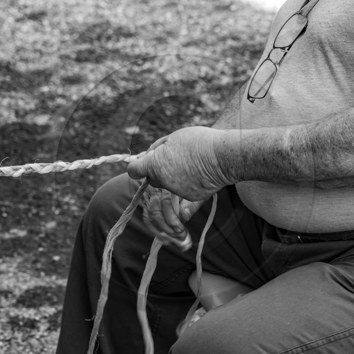 13 avril 2022 : épouvantails et petites graines