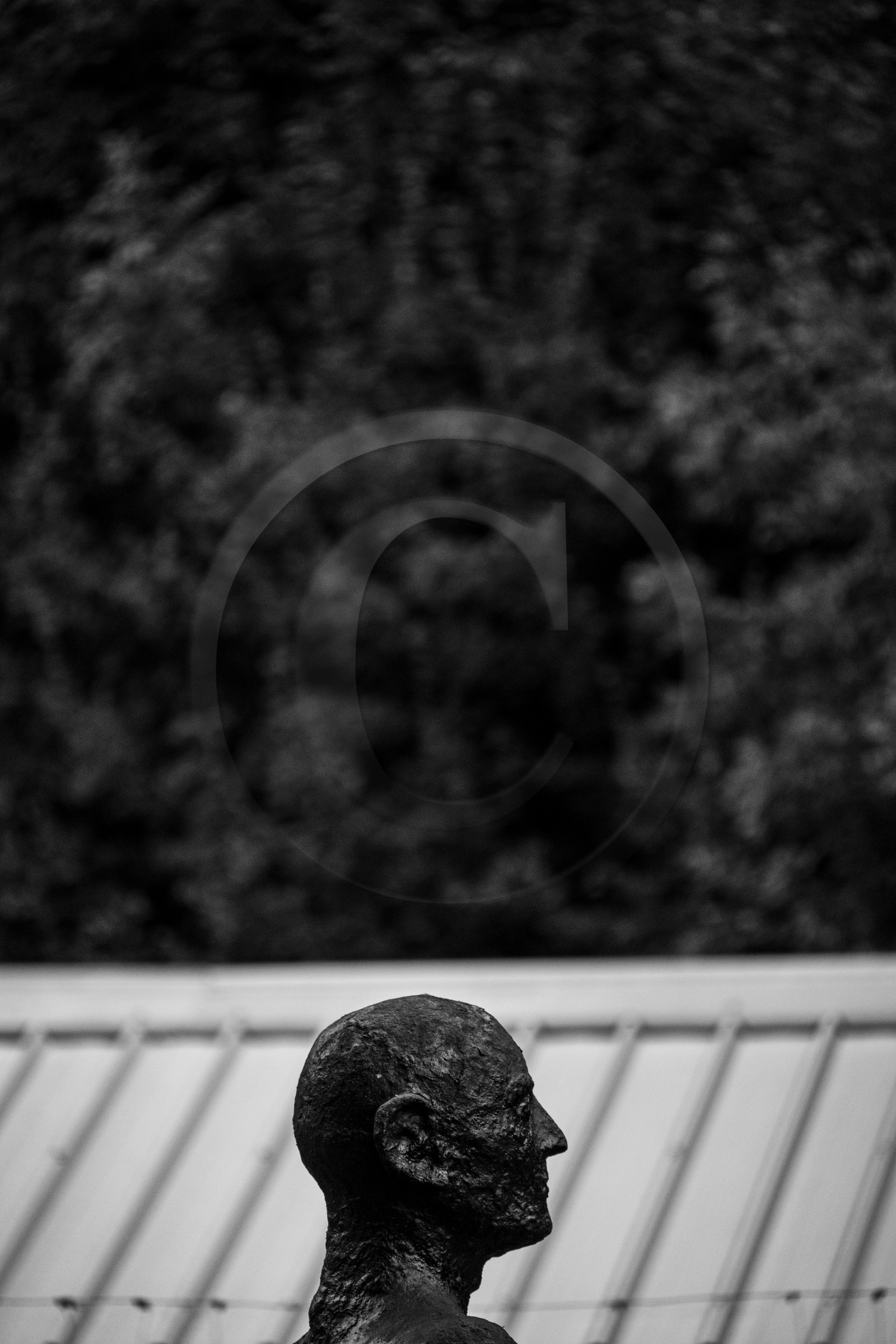 Exposition La forêt d'hommes, une création de Barbara Fougnon, artiste plasticienne