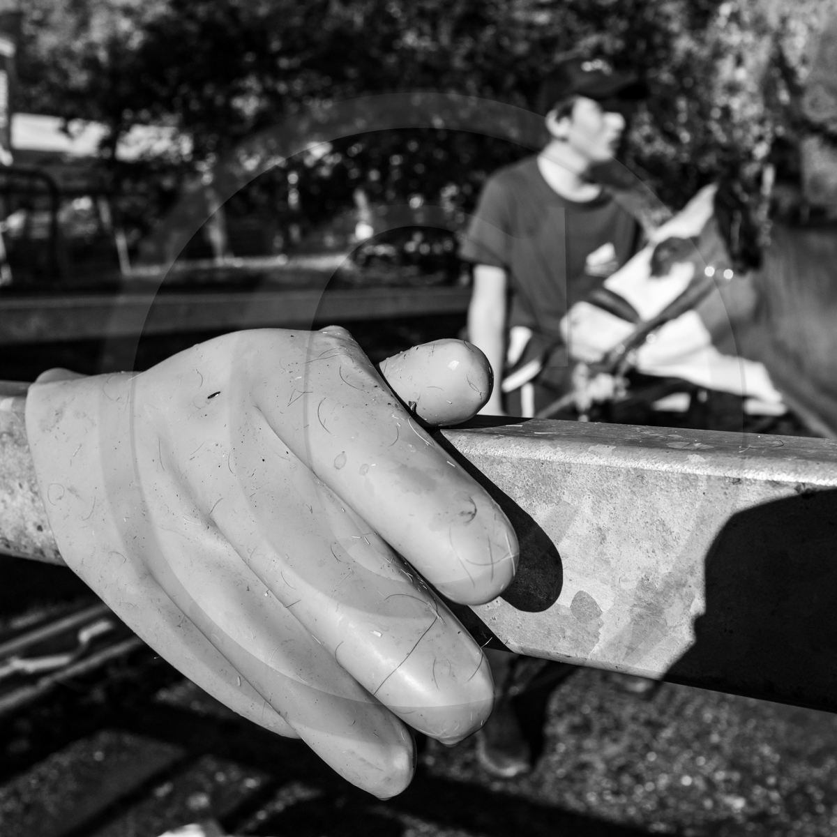 Rencontres paysannes à Saint-Bonnet en Champsaur