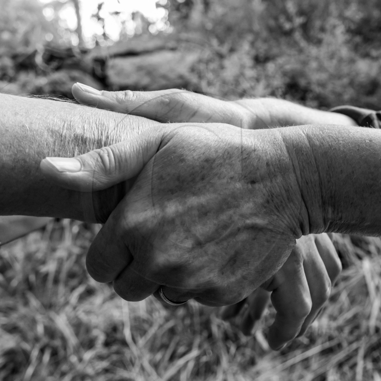 28 juin 2021 : Journée des aidants à l'Ouort.