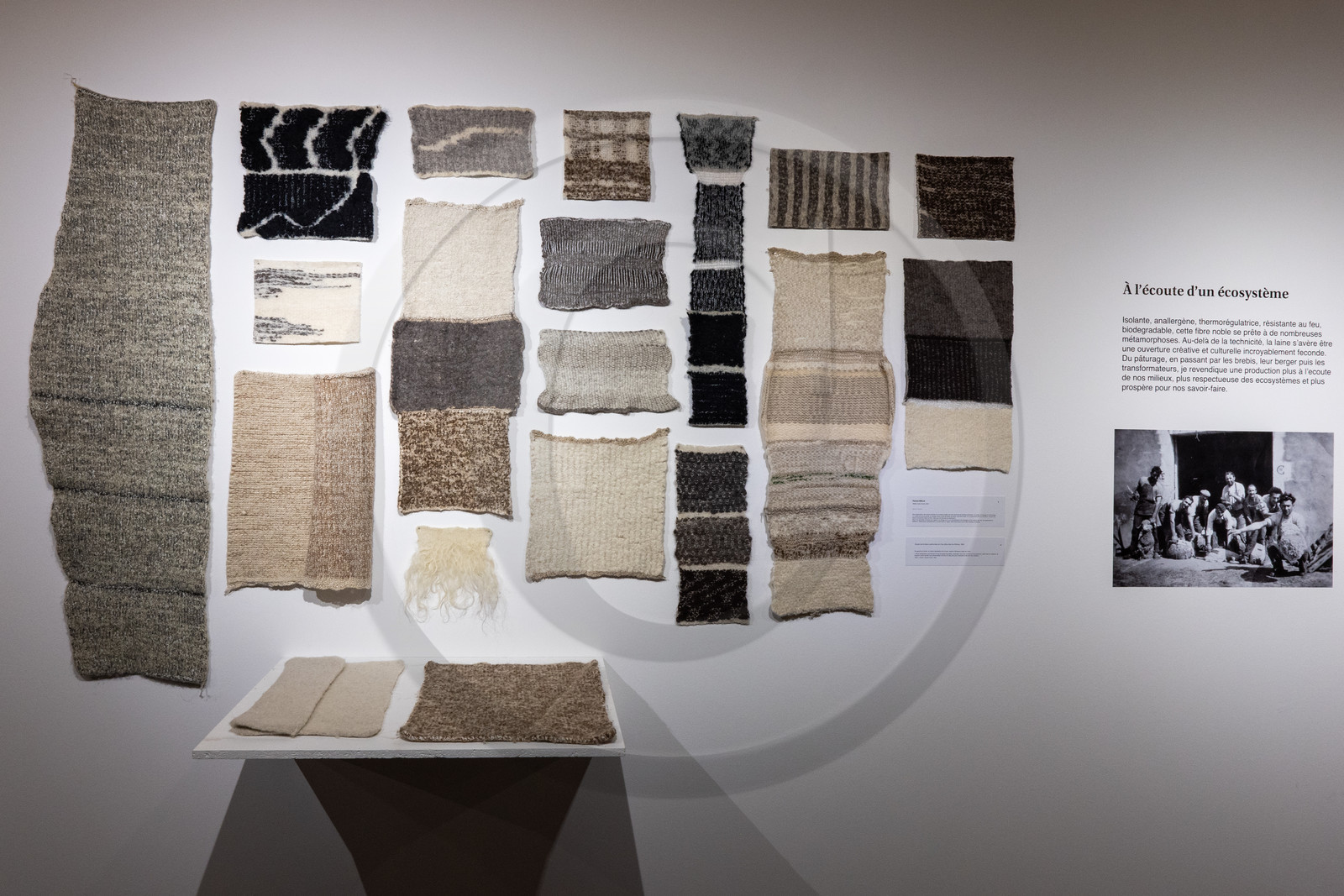 Expositions à la maison du Berger - Champoléon