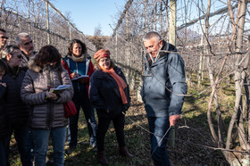Croqueurs de pommes des Alpes Latines