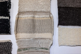 Expositions à la maison du Berger - Champoléon