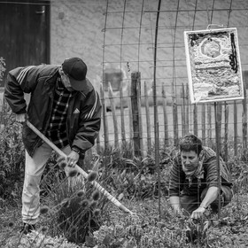 23 avril 2025 : Des oiseaux et des plantes