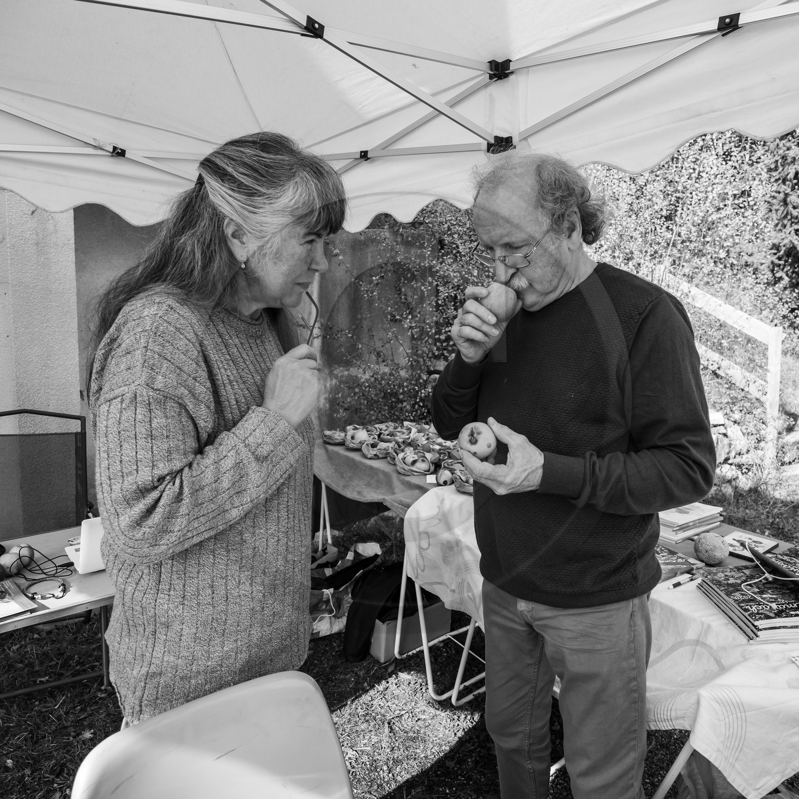 27 octobre 2019 : pommes, soupes et gâteaux