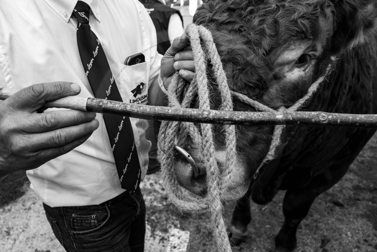 Rencontres paysannes à Saint-Bonnet en Champsaur