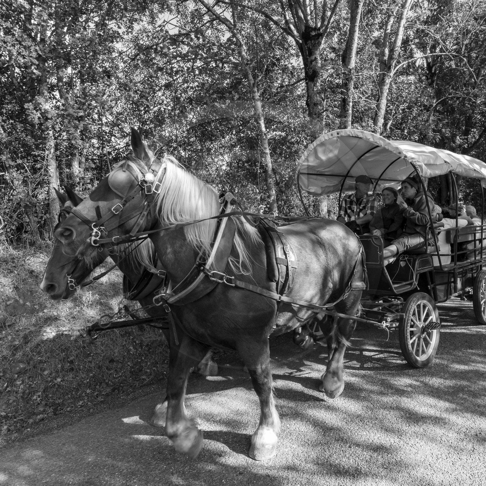 25 septembre 2019 : Promenade en calèche
