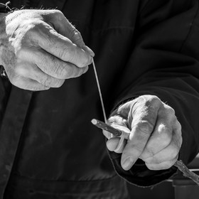 10 avril 2022 : Initiation à la greffe d'arbres fruitiers