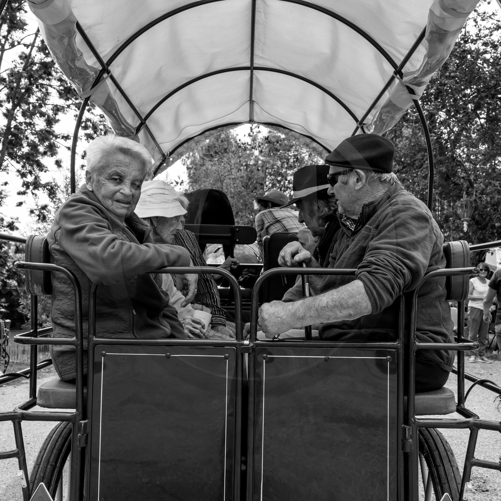 Promenade en calèche et contes
