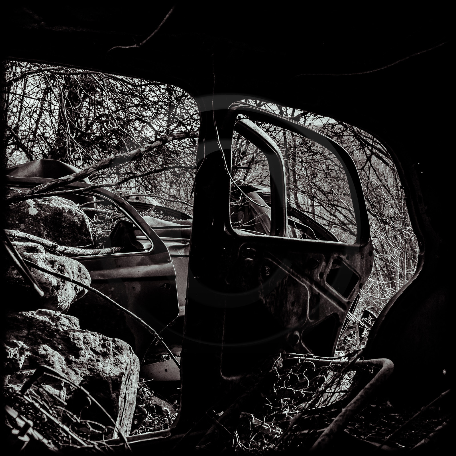 Un cimetière de voitures