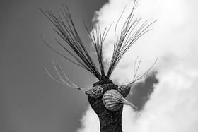 1er mai 2023 : manifestation à Gap (Hautes-Alpes)