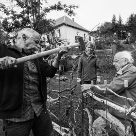 21 août 2019 : installation d'une oeuvre en bois flotté