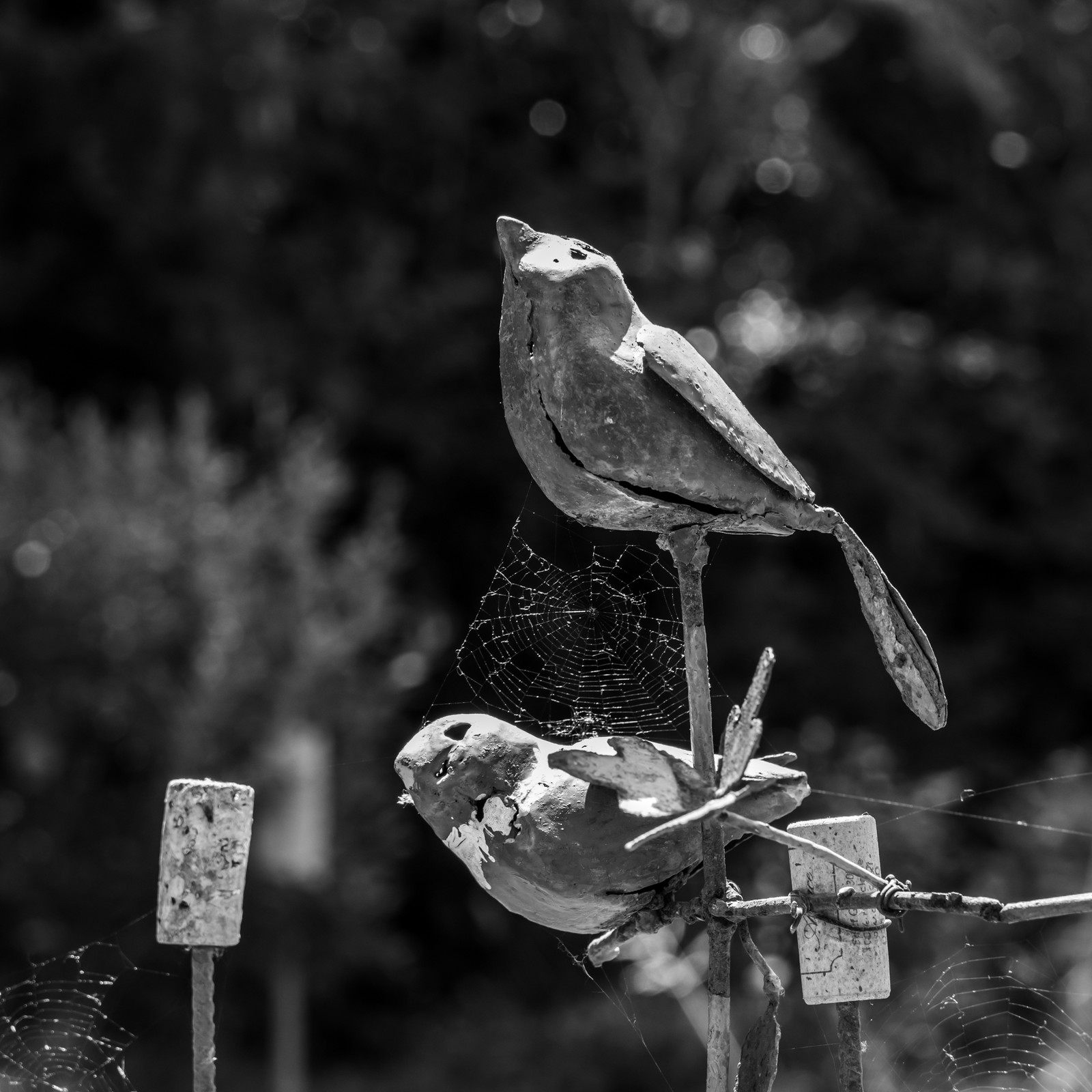 27 juin 2025 : Journée des aidants