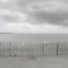 Camargue couleur pastel