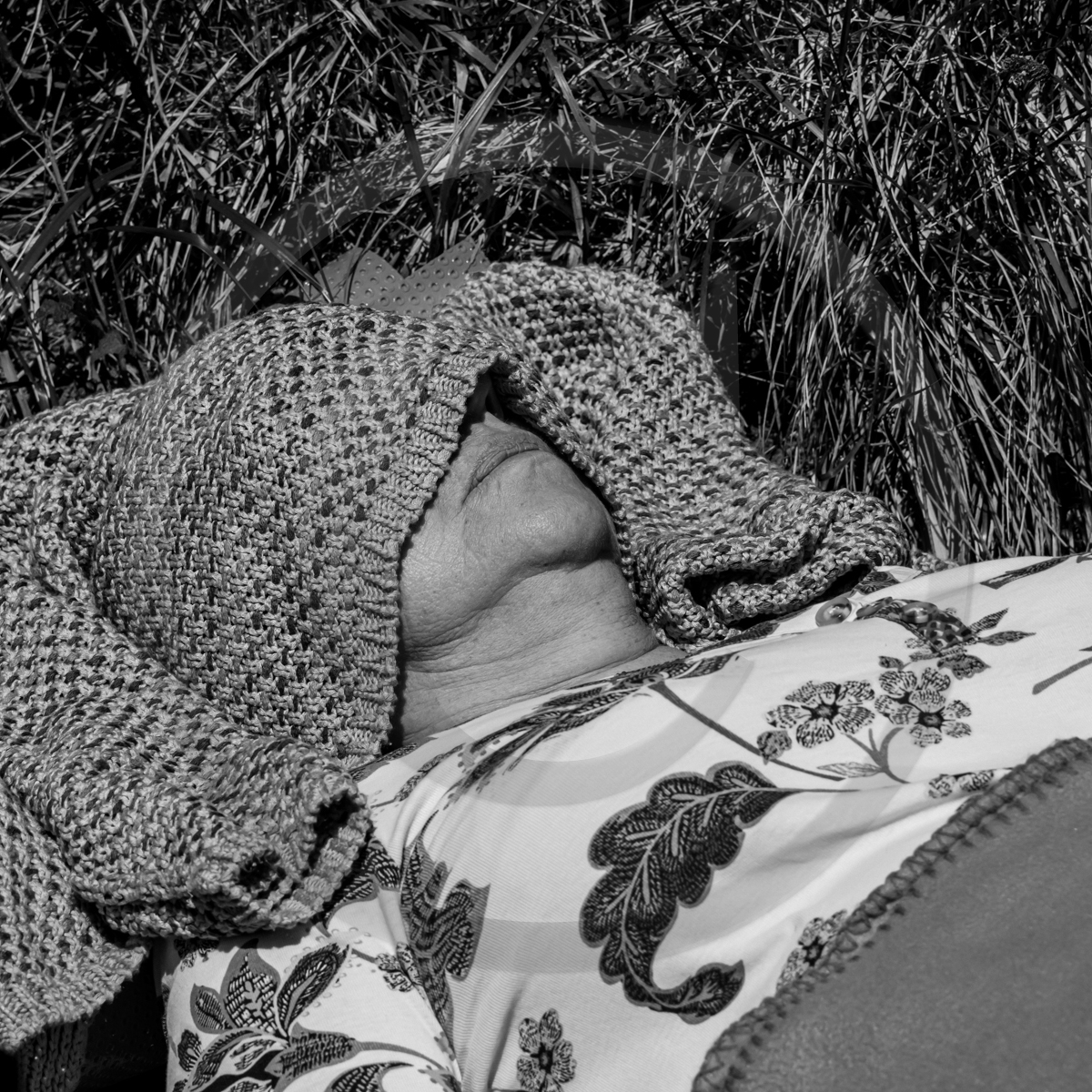 20 mai 2022 : 2ème journée des aidants