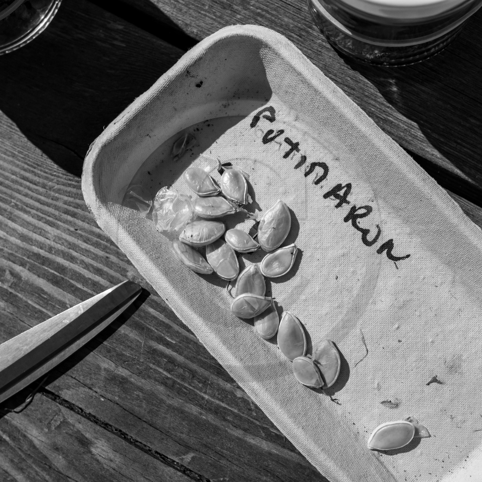 06 juin 2021 : Vide-Jardin et peinture végétale