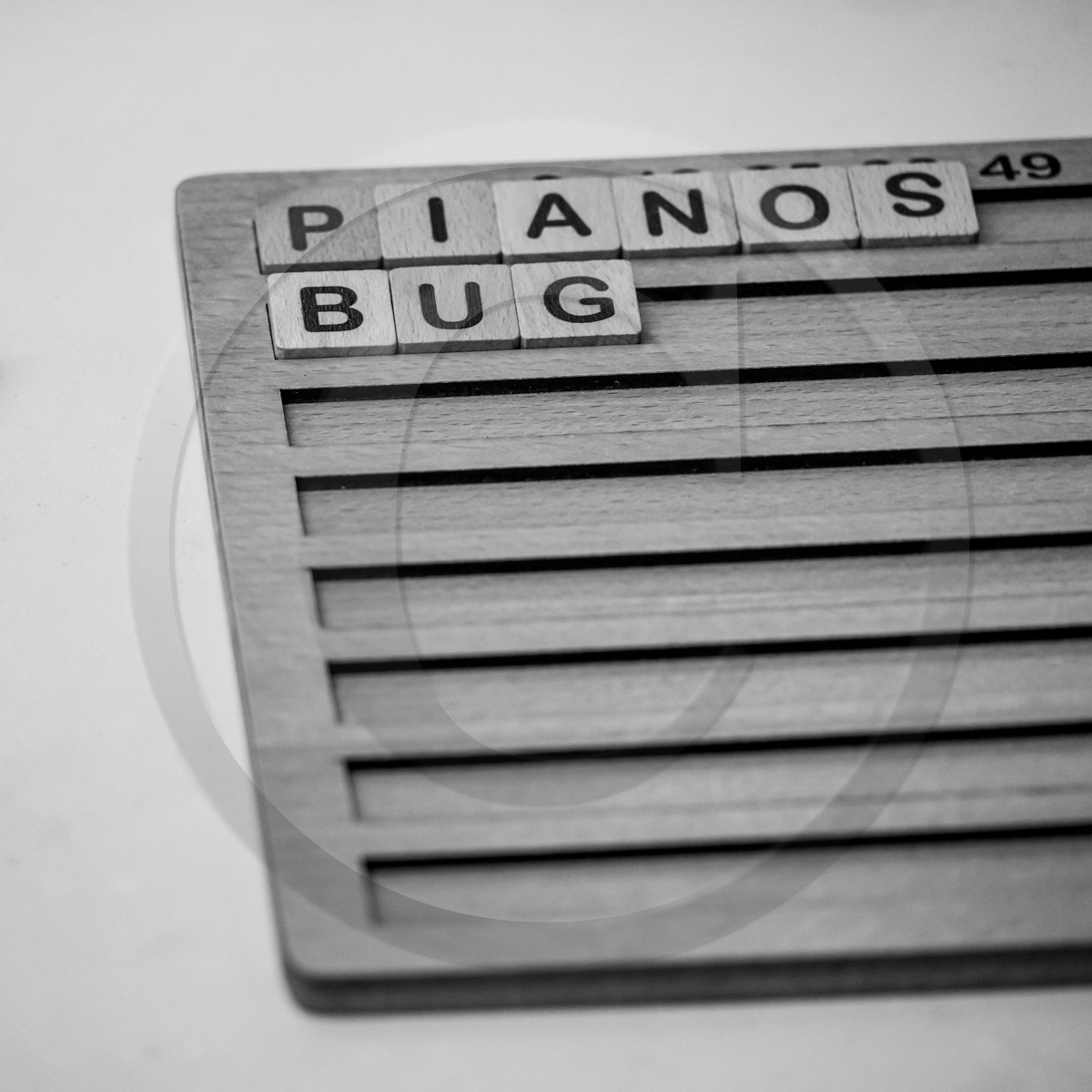 14 septembre 2022 : jeux, laine et promenade