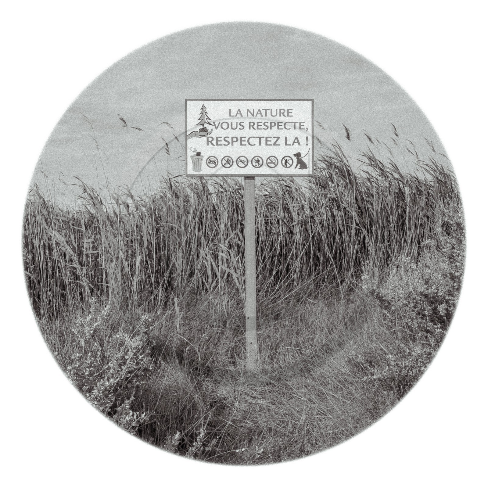 Les instants Camargue