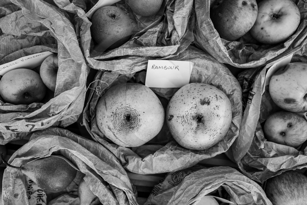 05 novembre 2022 : des pommes et des soupes