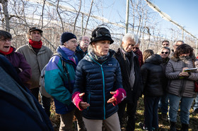 Croqueurs de pommes des Alpes Latines