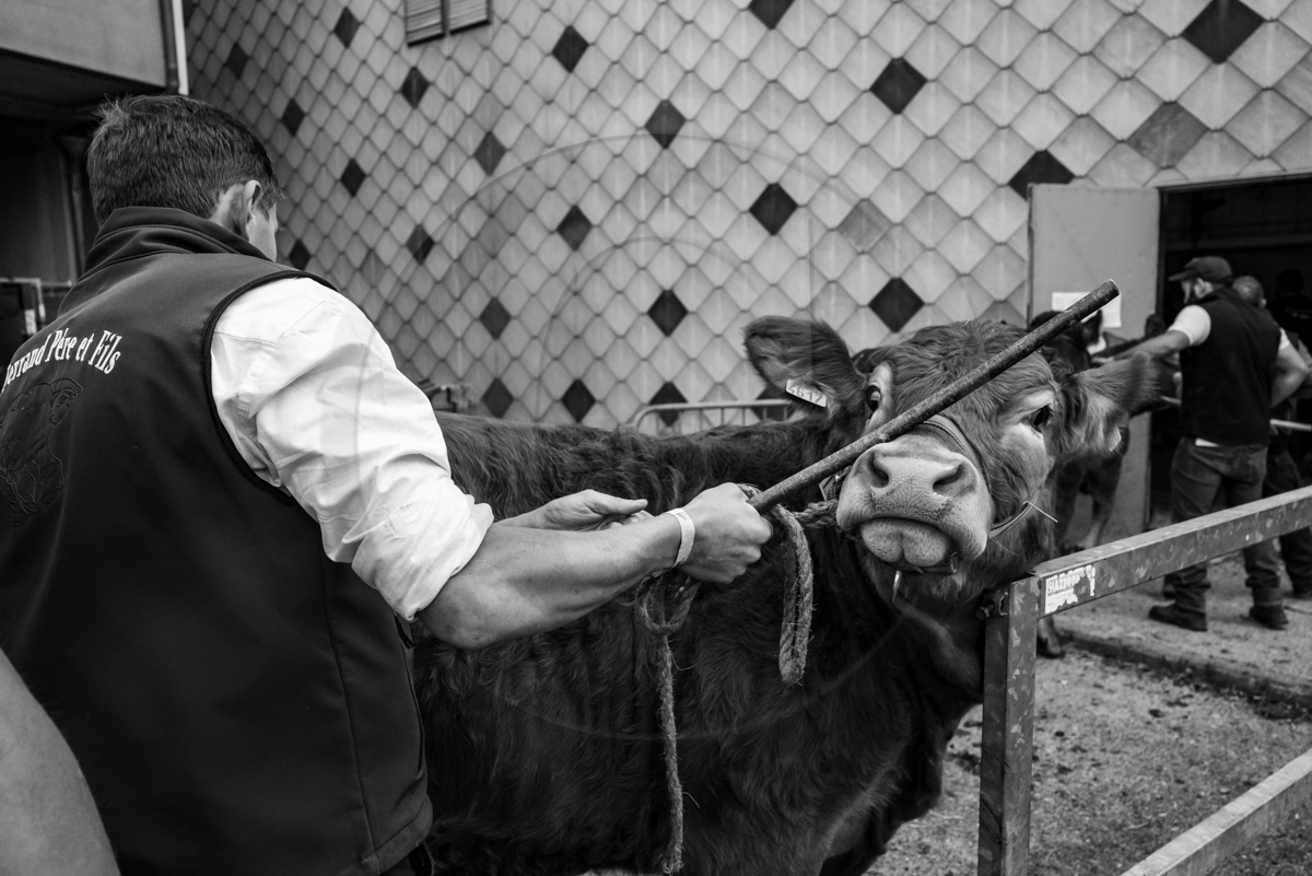 Rencontres paysannes à Saint-Bonnet en Champsaur