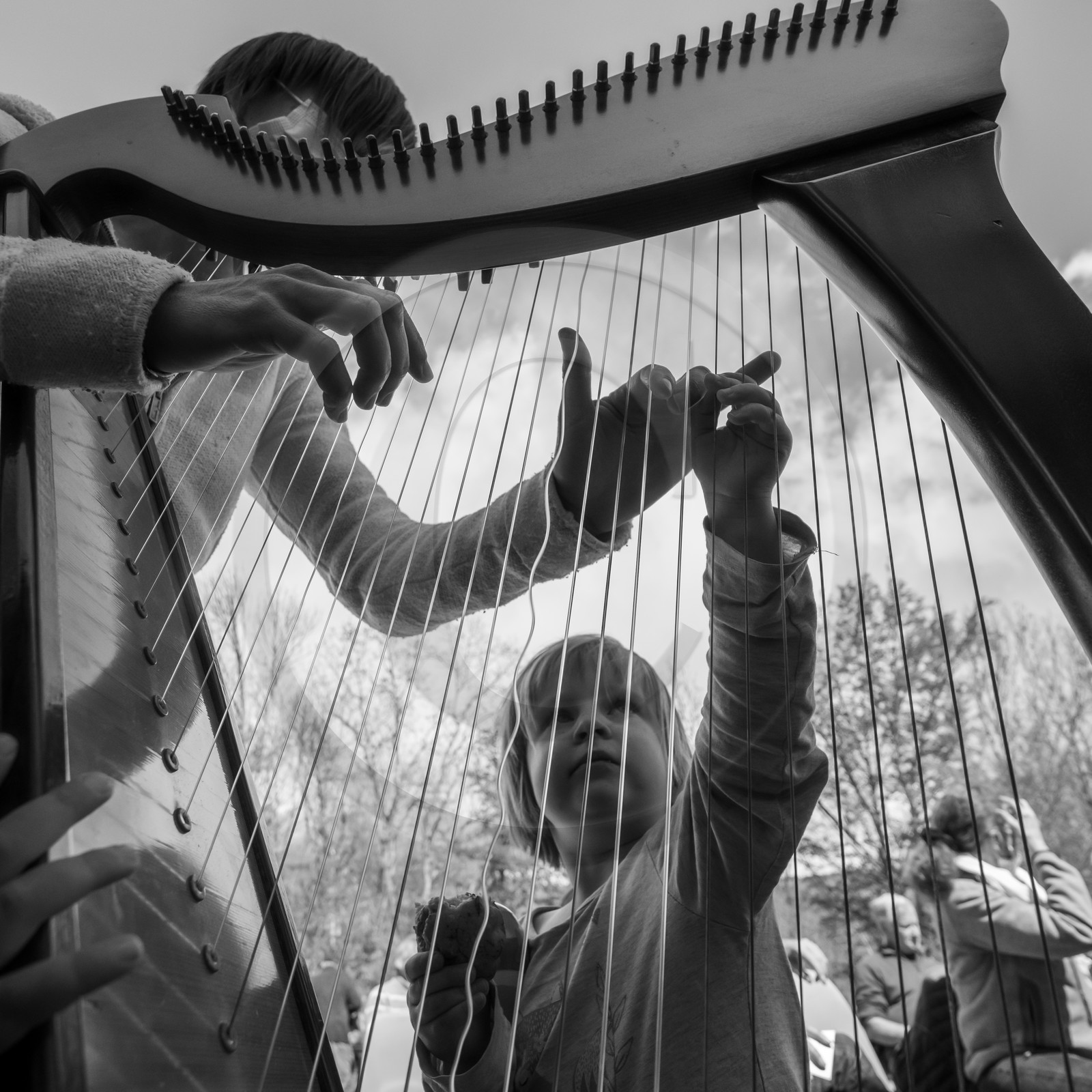 Animation musicale avec Philippe Séranne