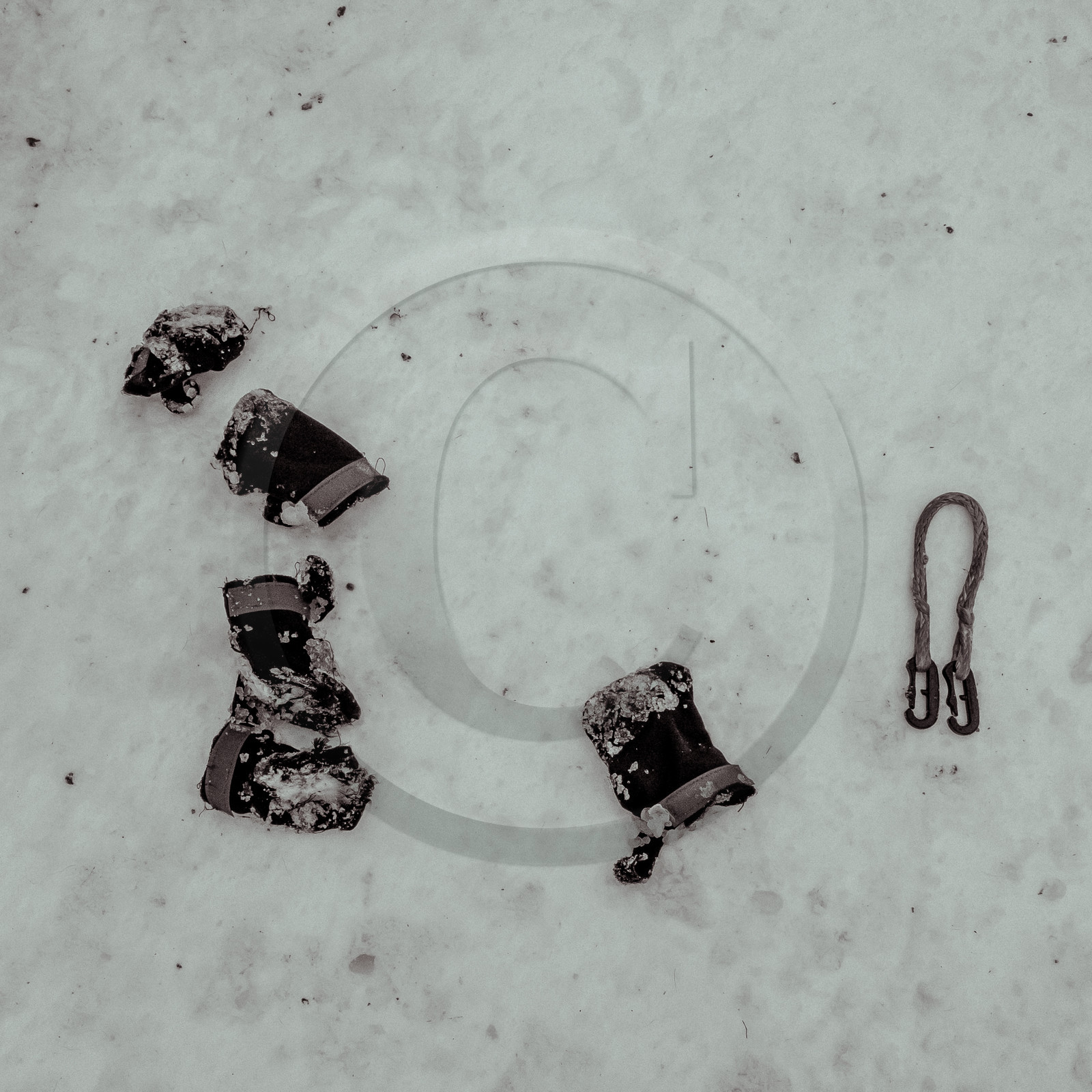 La Valgaude Traineau 2015