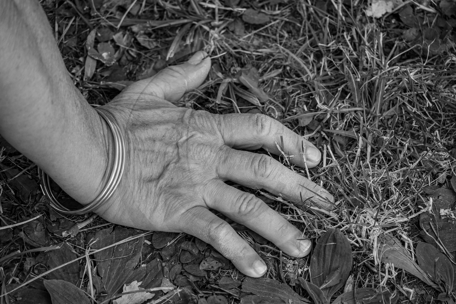 09 août 2023 : HydrOlique au jardin