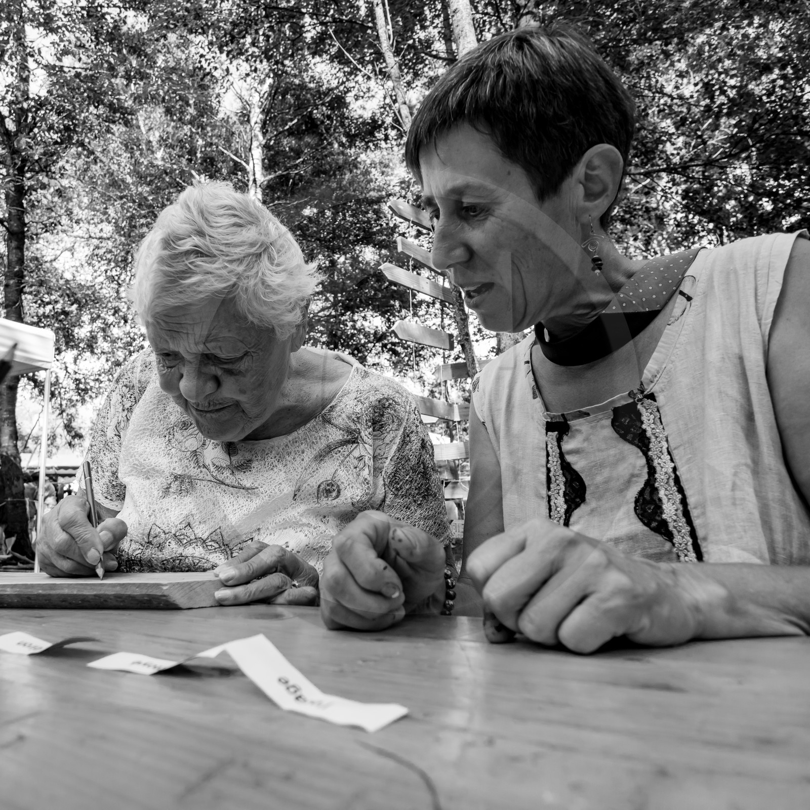 11, 12 et 13 août 2021 : L'Echo des Mots