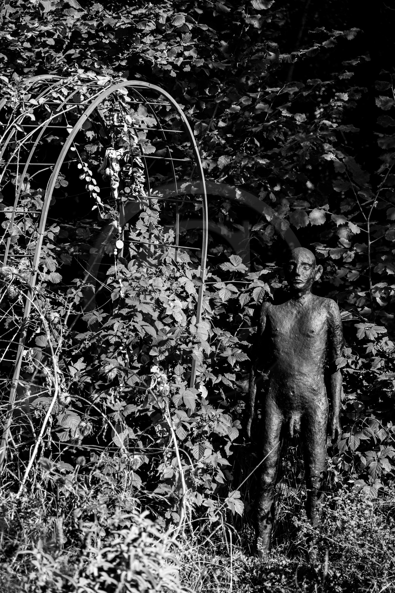 Exposition La forêt d'hommes, une création de Barbara Fougnon, artiste plasticienne