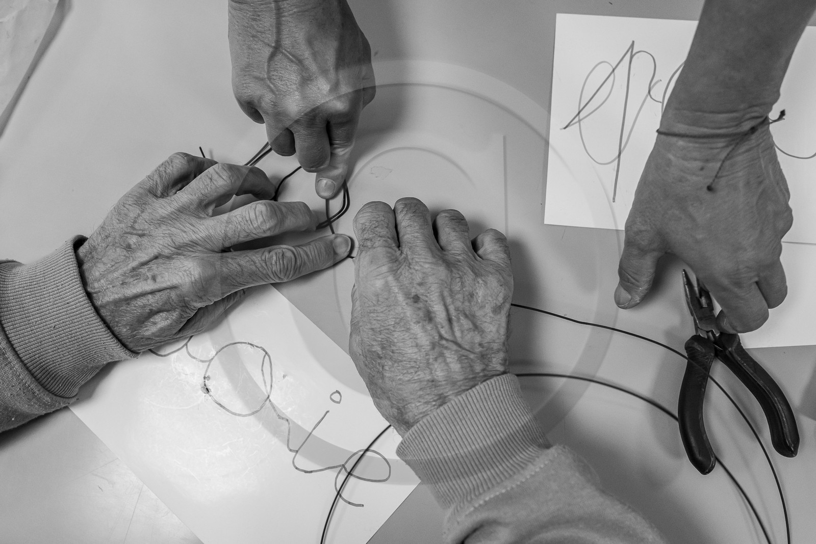 28 août 2023 : Journée des aidants