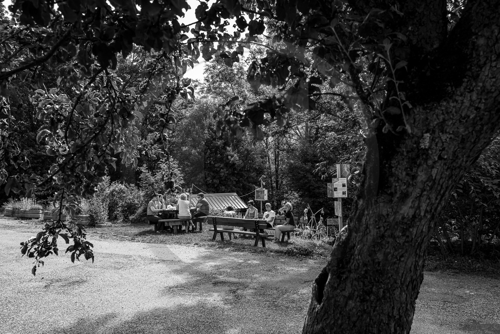 17 juillet 2023 : Journée des aidants et des aidés