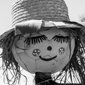 05 juillet 2017 - Installation épouvantails