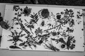 12 octobre 2022 : Land Art à l'Ouort