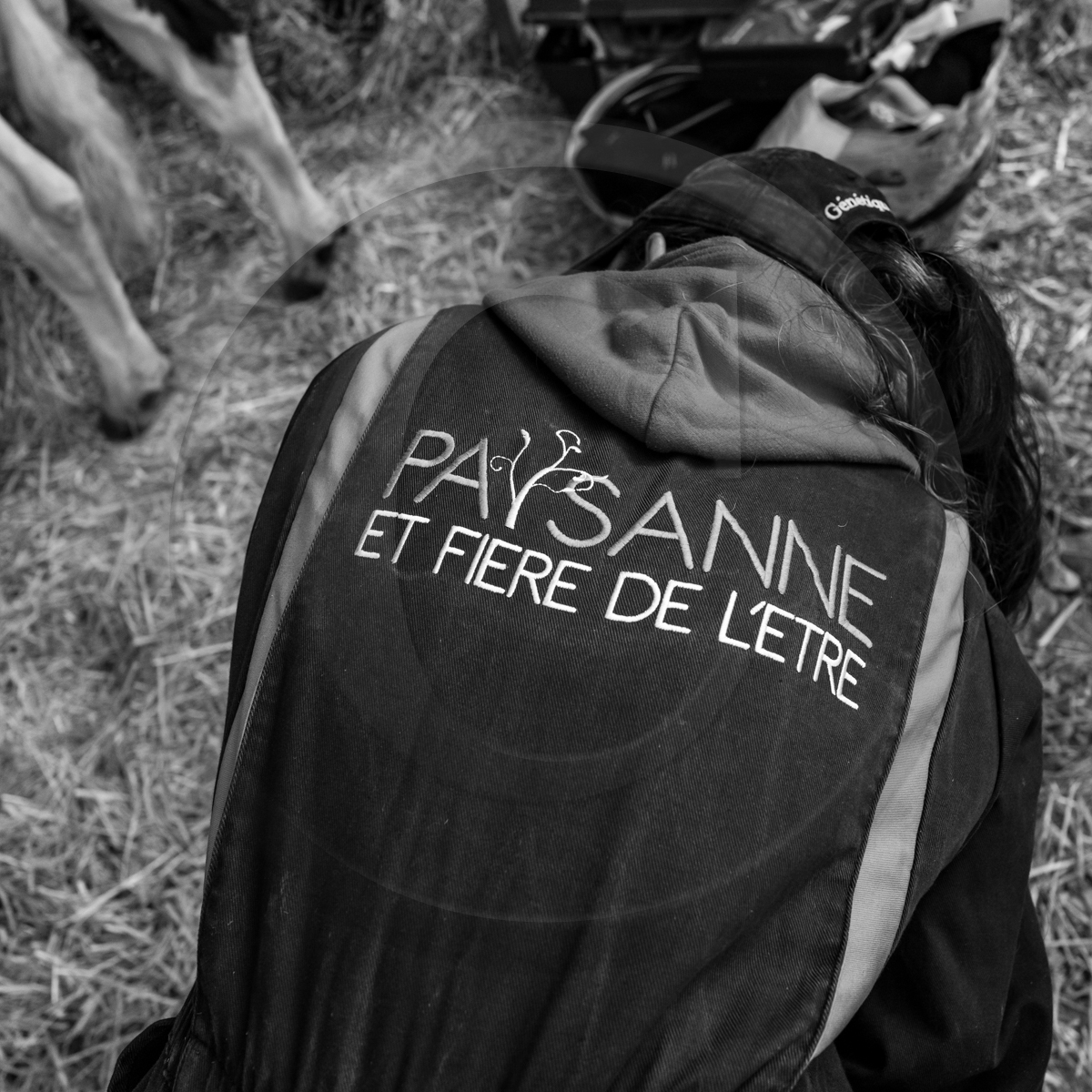 Rencontres paysannes à Saint-Bonnet en Champsaur