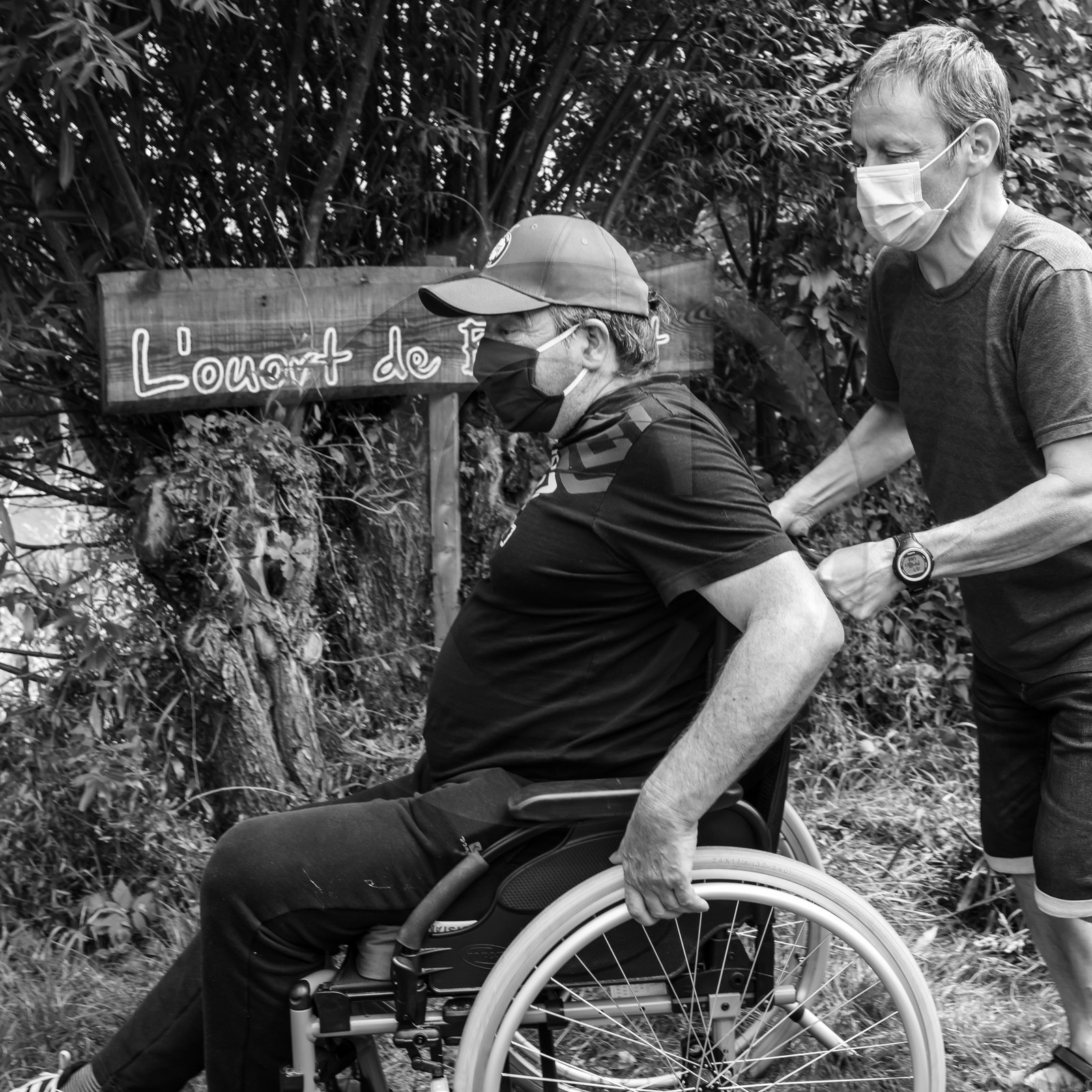 Promenades au jardin