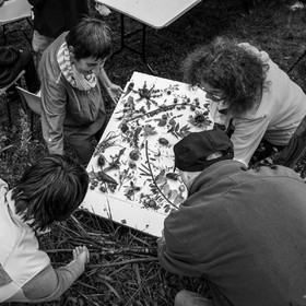 12 octobre 2022 : Land Art à l'Ouort