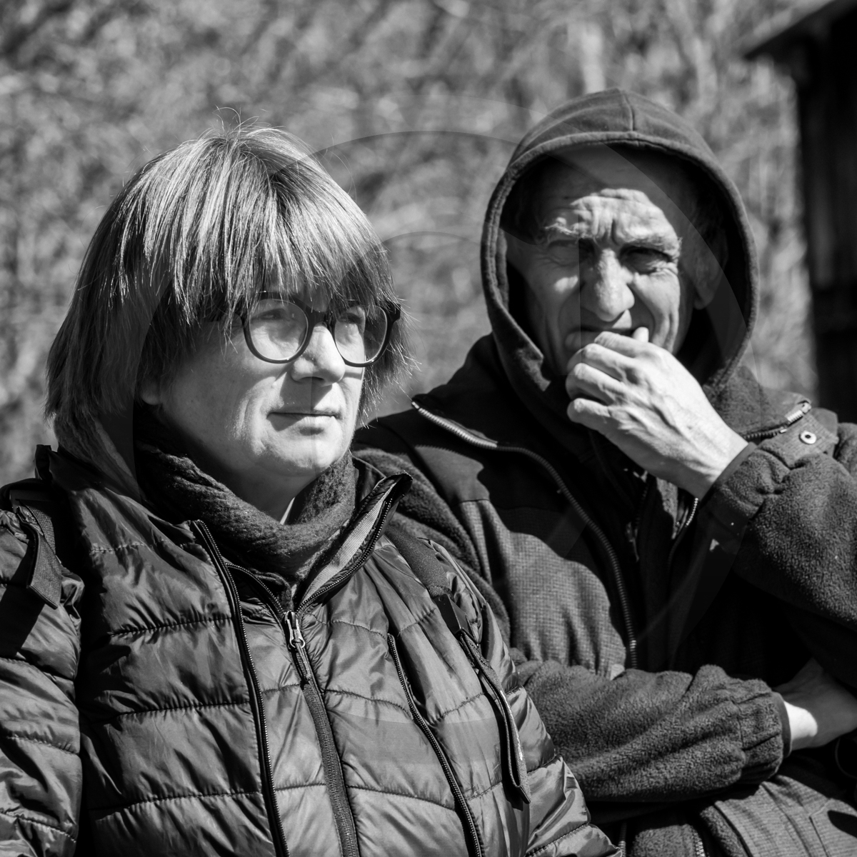 10 avril 2022 : Initiation à la greffe d'arbres fruitiers