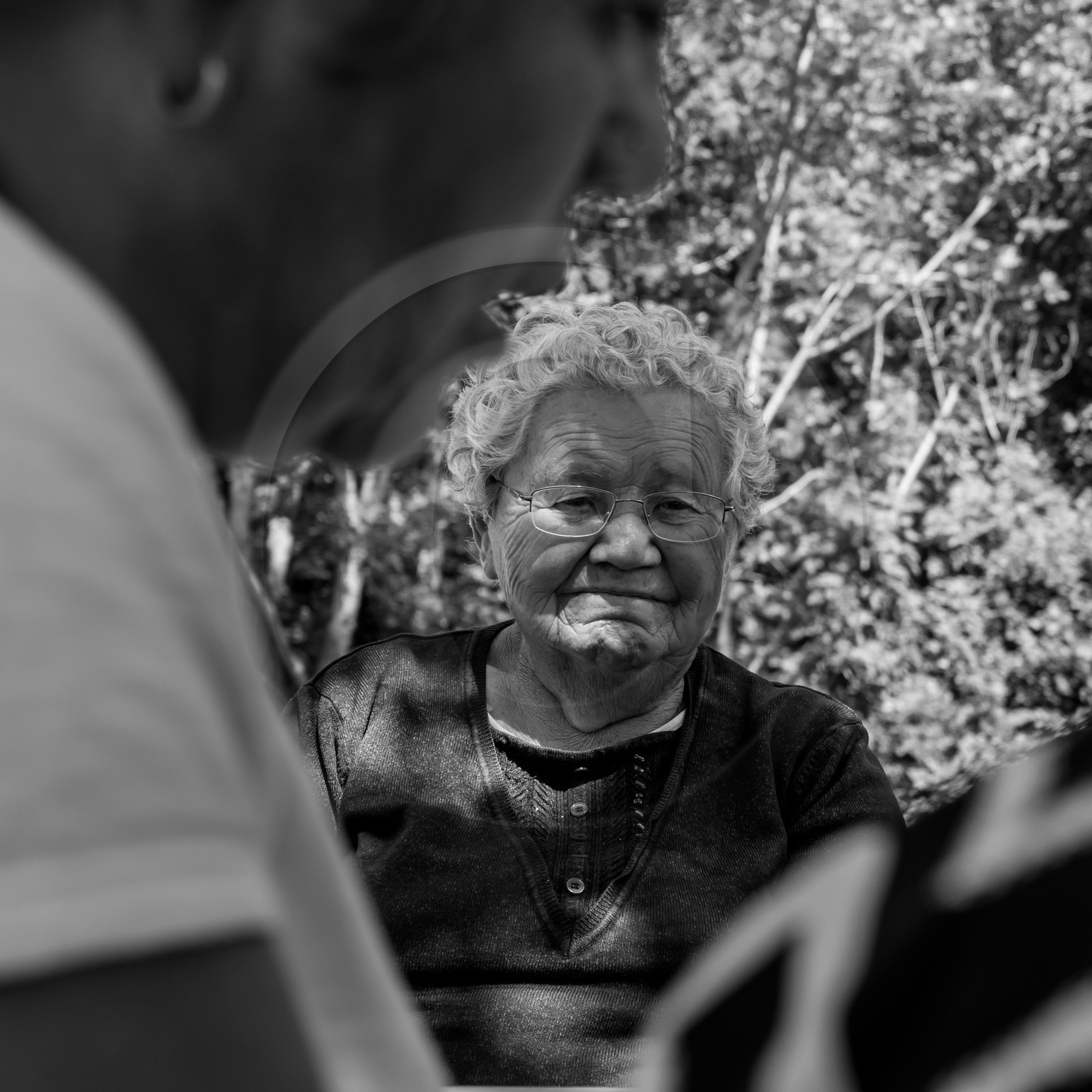 12 juillet 2017 - Moulins à vent