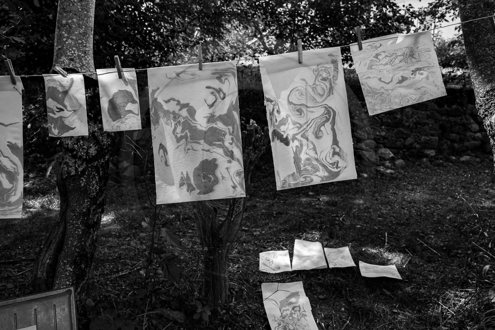 05 juillet 2023 : une cantine et des artistes