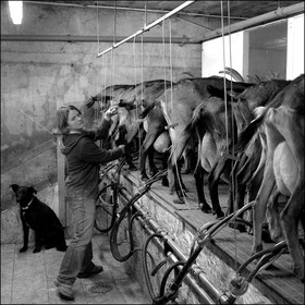 La ferme des Cabrioles