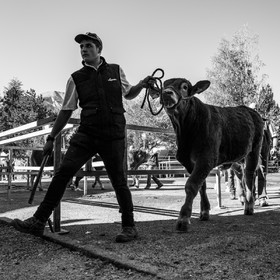 Rencontres paysannes à Saint-Bonnet en Champsaur
