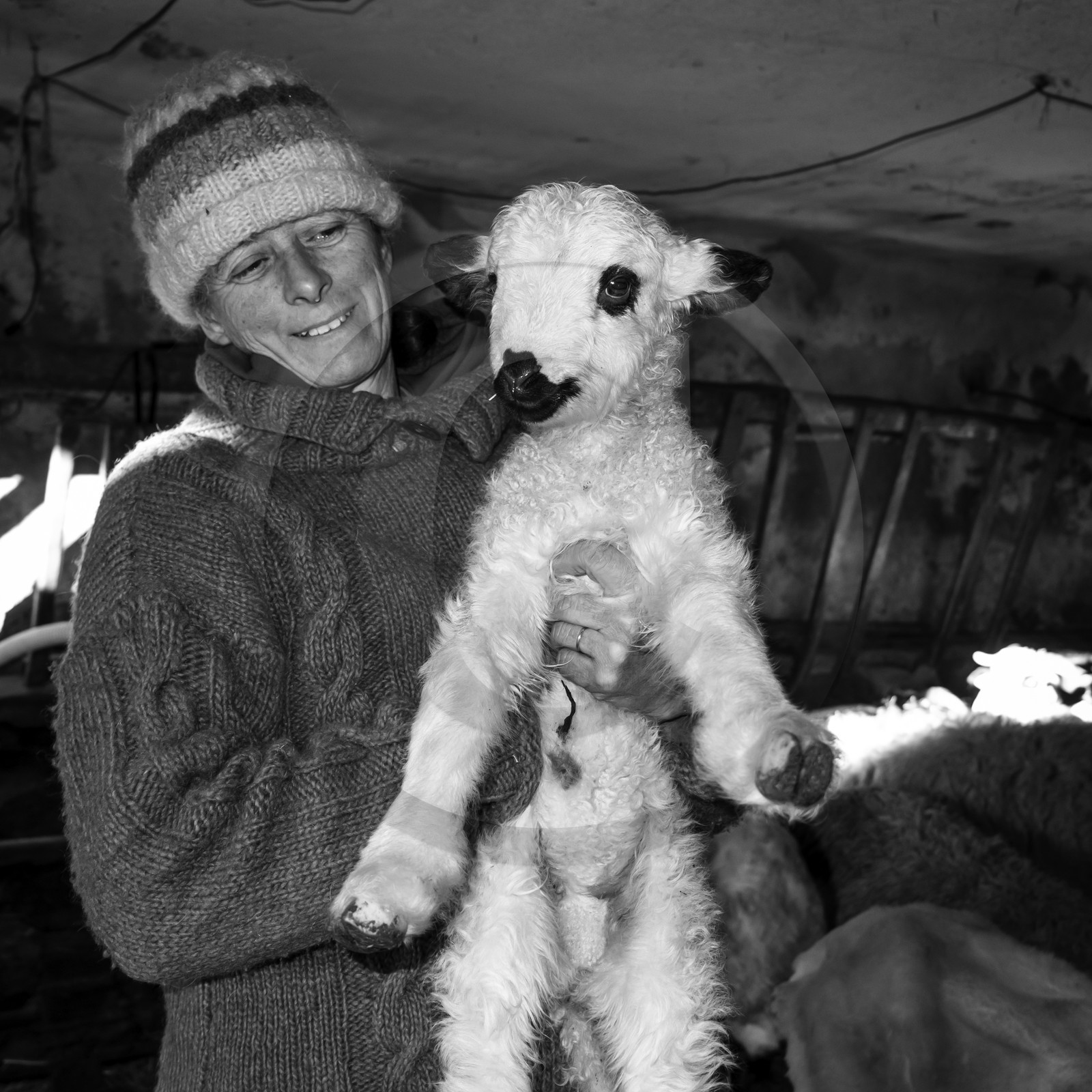 La bergerie de Michèle Soubeyrand