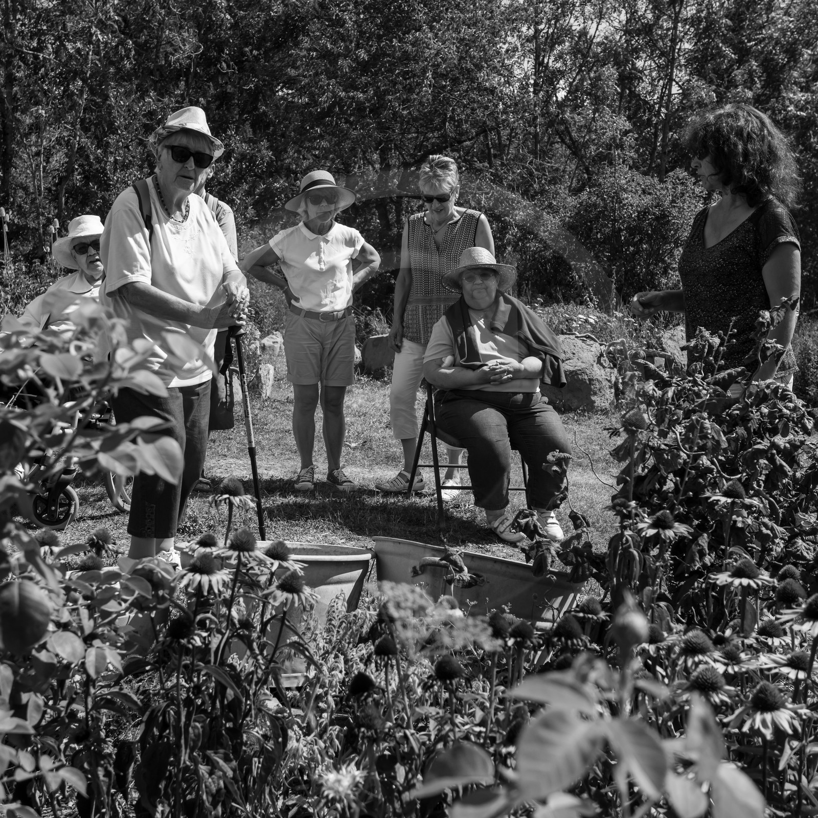 04 septembre 2019 : Visite au jardin des Hautes Terres